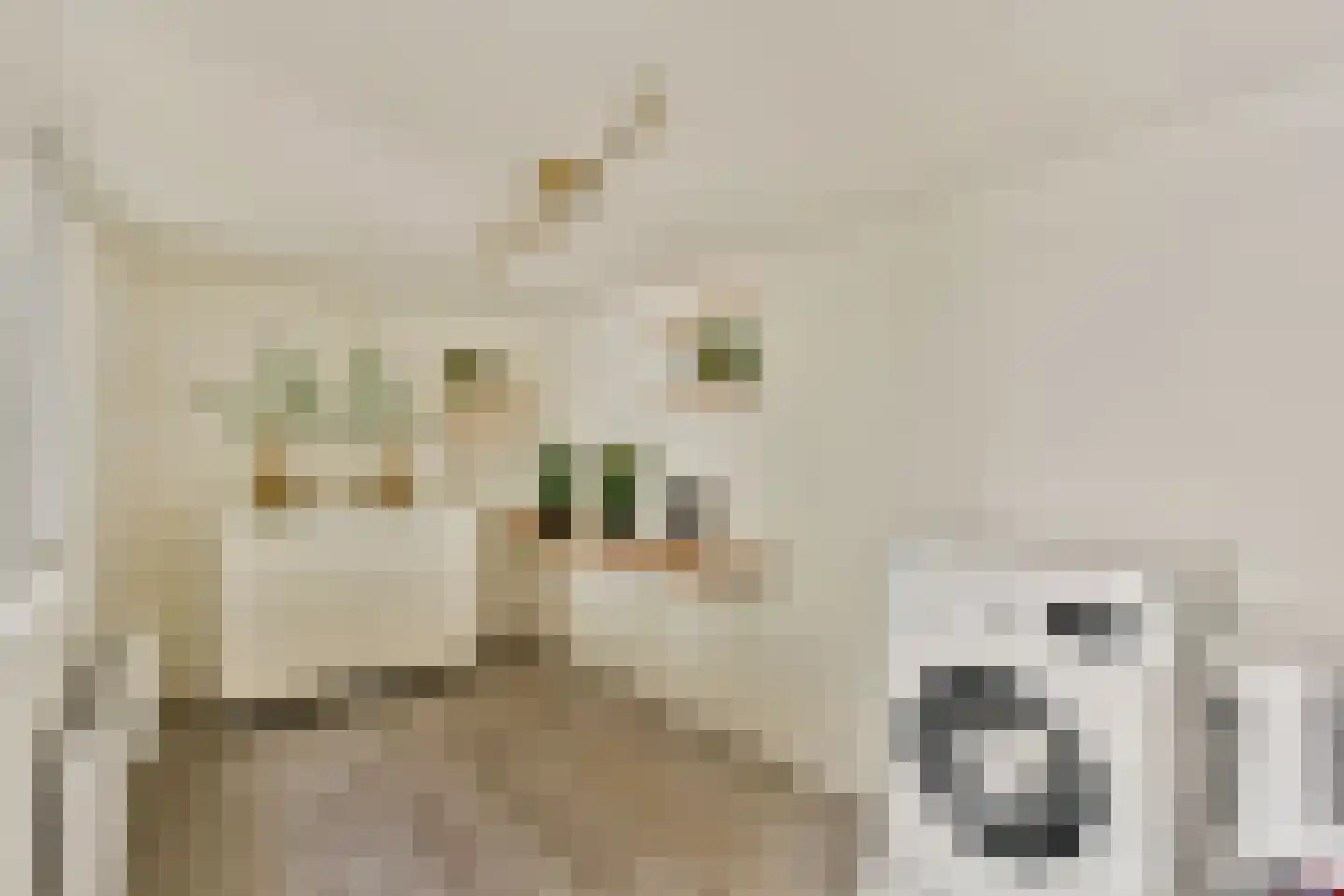 Van Ostadestraat 76 H Amsterdam thumbnail 13