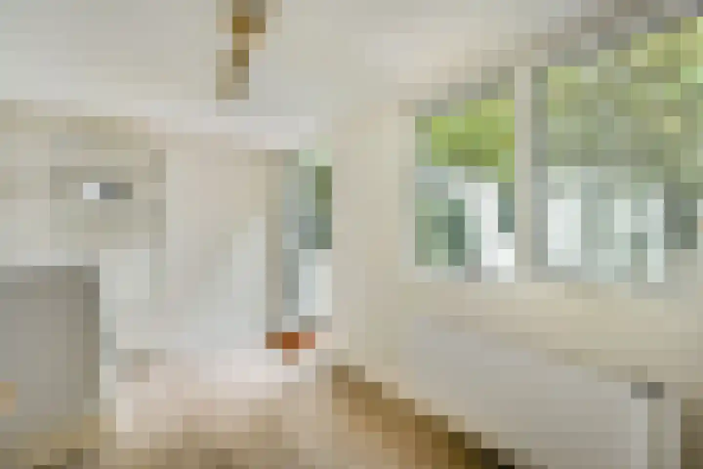 Van Ostadestraat 76 H Amsterdam thumbnail 14