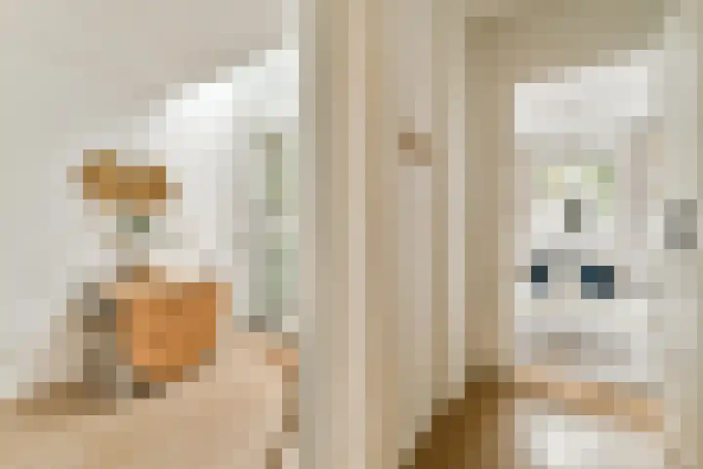 Van Ostadestraat 76 H Amsterdam thumbnail 9