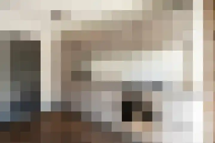 Van Ostadestraat 78 2 Amsterdam thumbnail 15