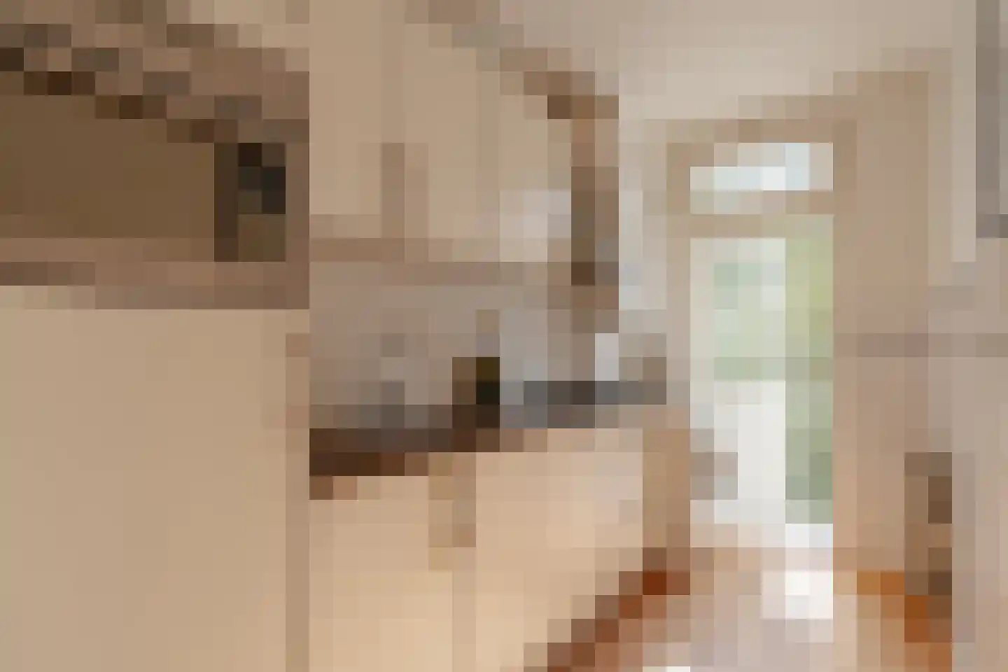 Van Ostadestraat 78 2 Amsterdam thumbnail 17