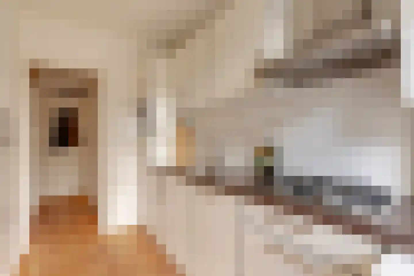 Van Ostadestraat 78 2 Amsterdam thumbnail 18