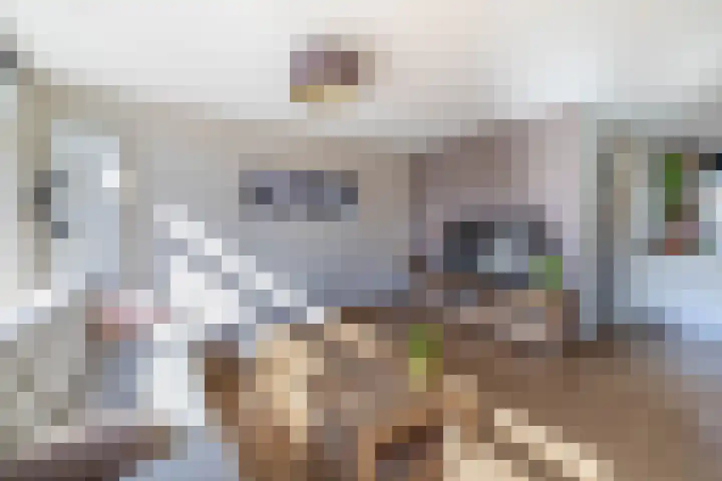 van Ostadestraat 8 Lisse thumbnail 10