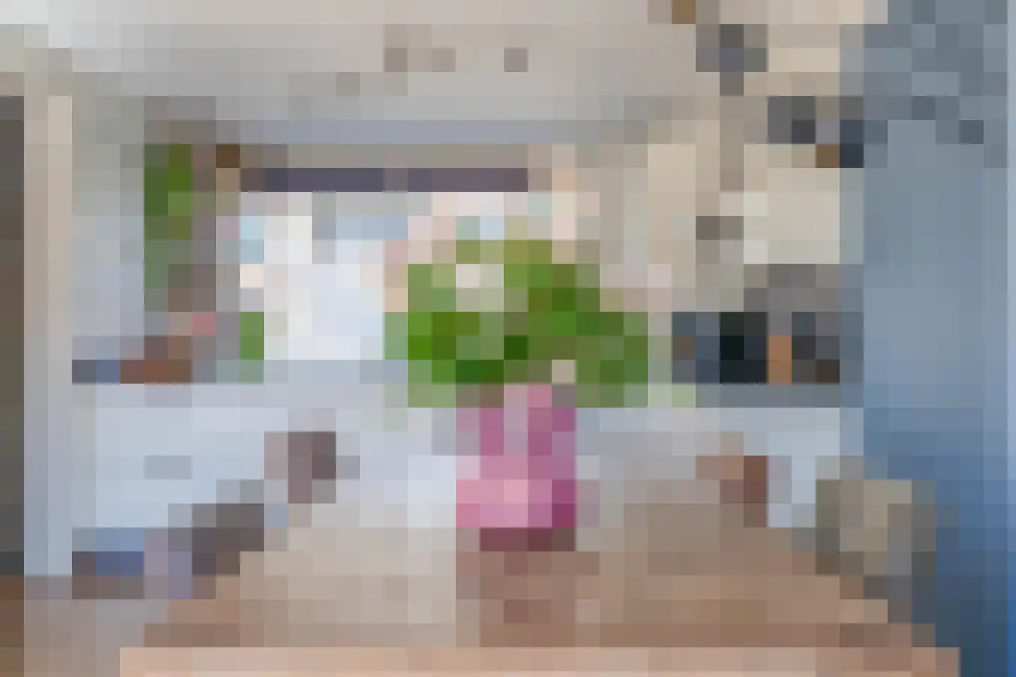van Ostadestraat 8 Lisse thumbnail 13