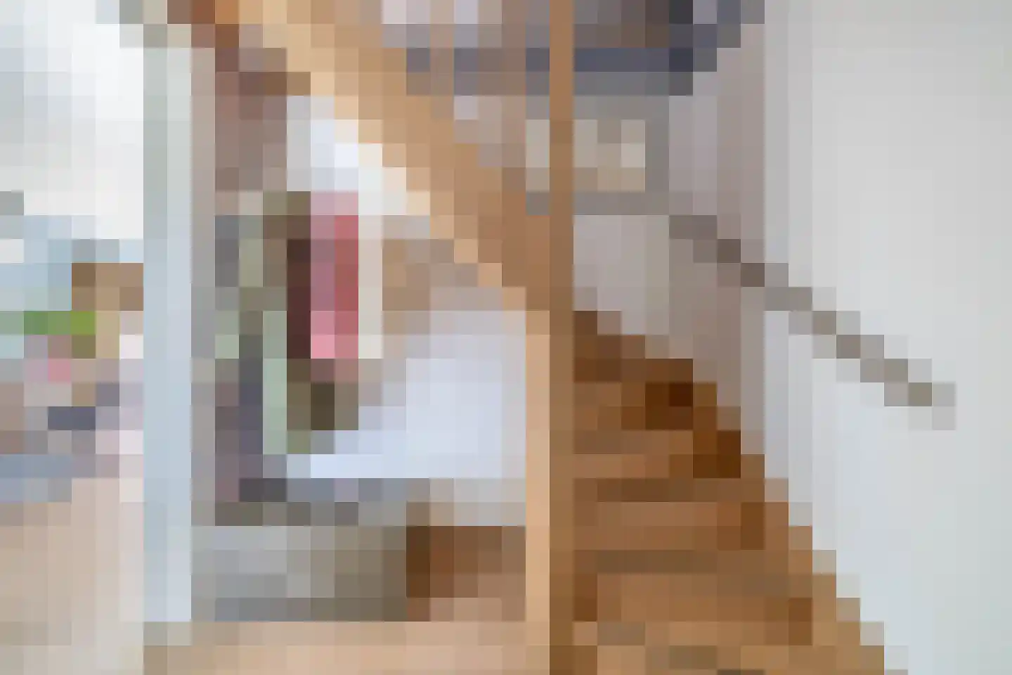 van Ostadestraat 8 Lisse thumbnail 29