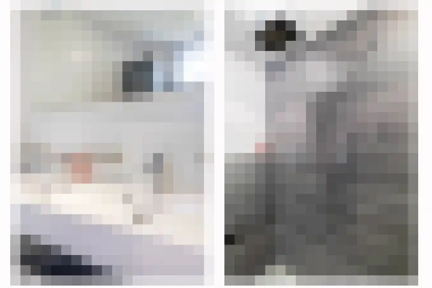 van Ostadestraat 8 Lisse thumbnail 38