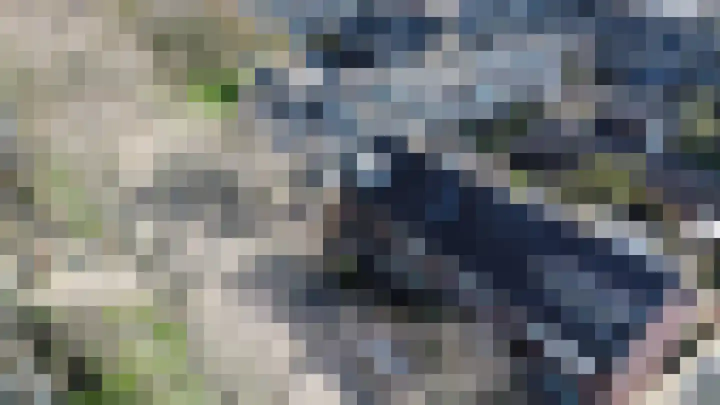van Ostadestraat 8 Lisse thumbnail 46