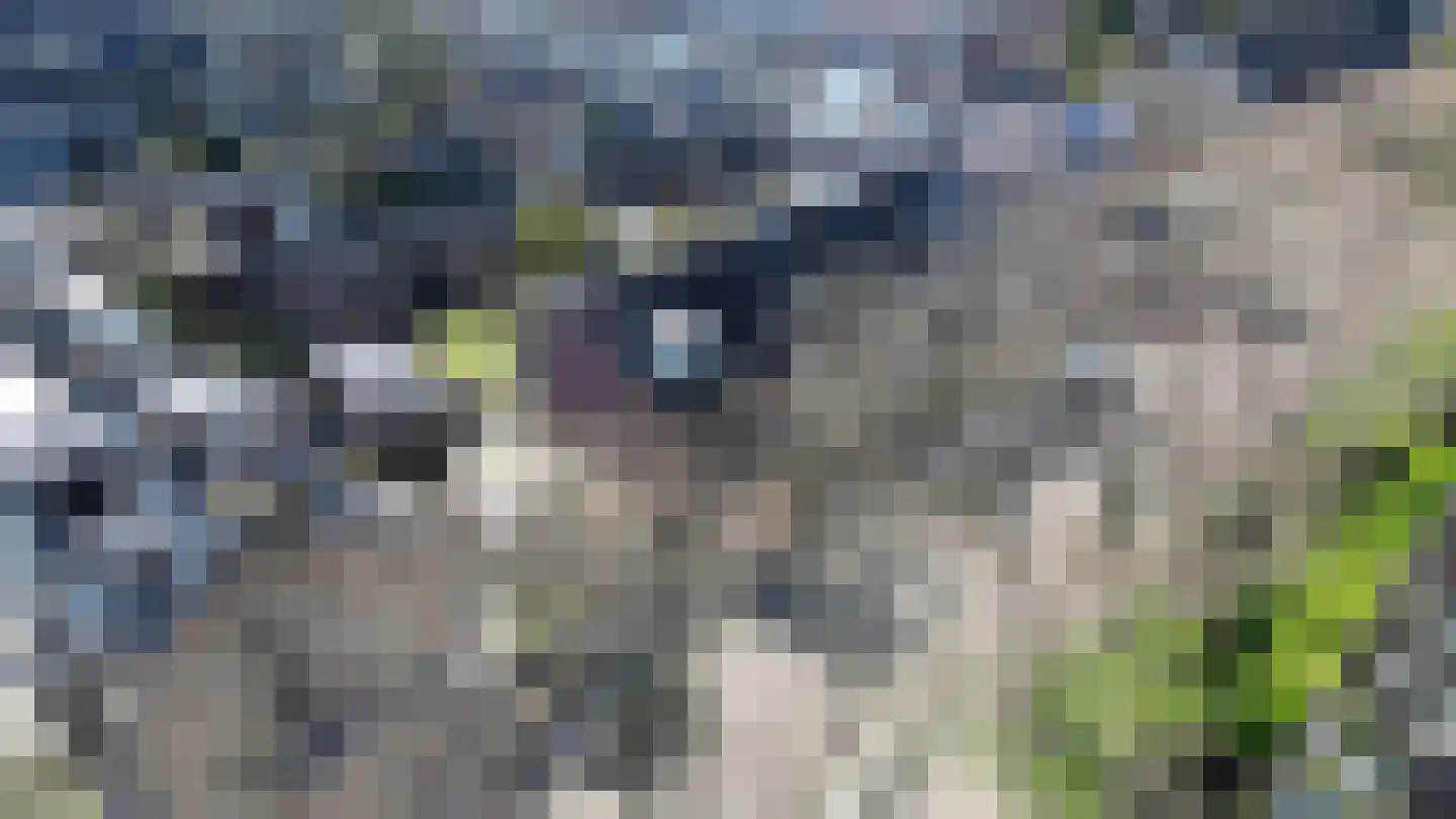 van Ostadestraat 8 Lisse thumbnail 47