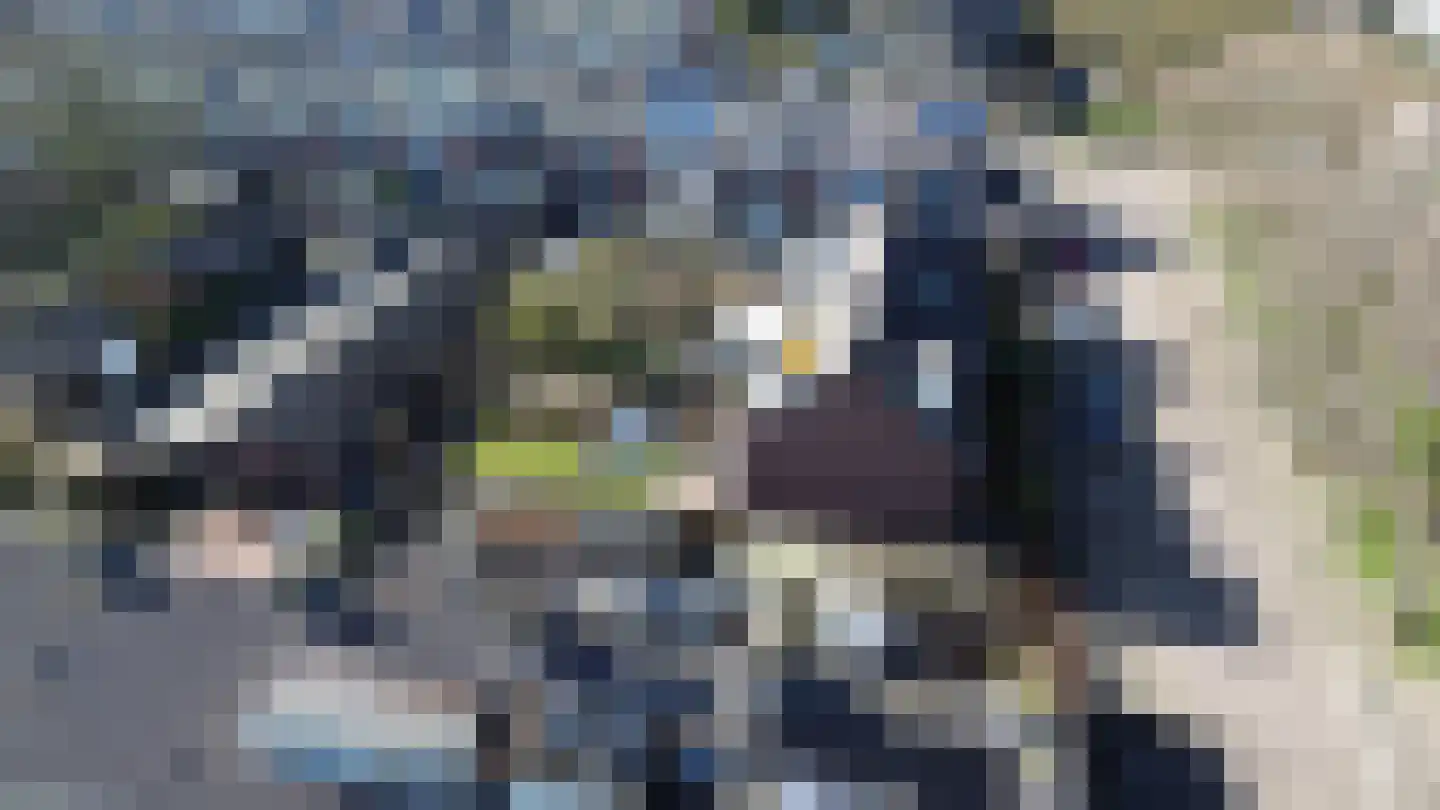 van Ostadestraat 8 Lisse thumbnail 48
