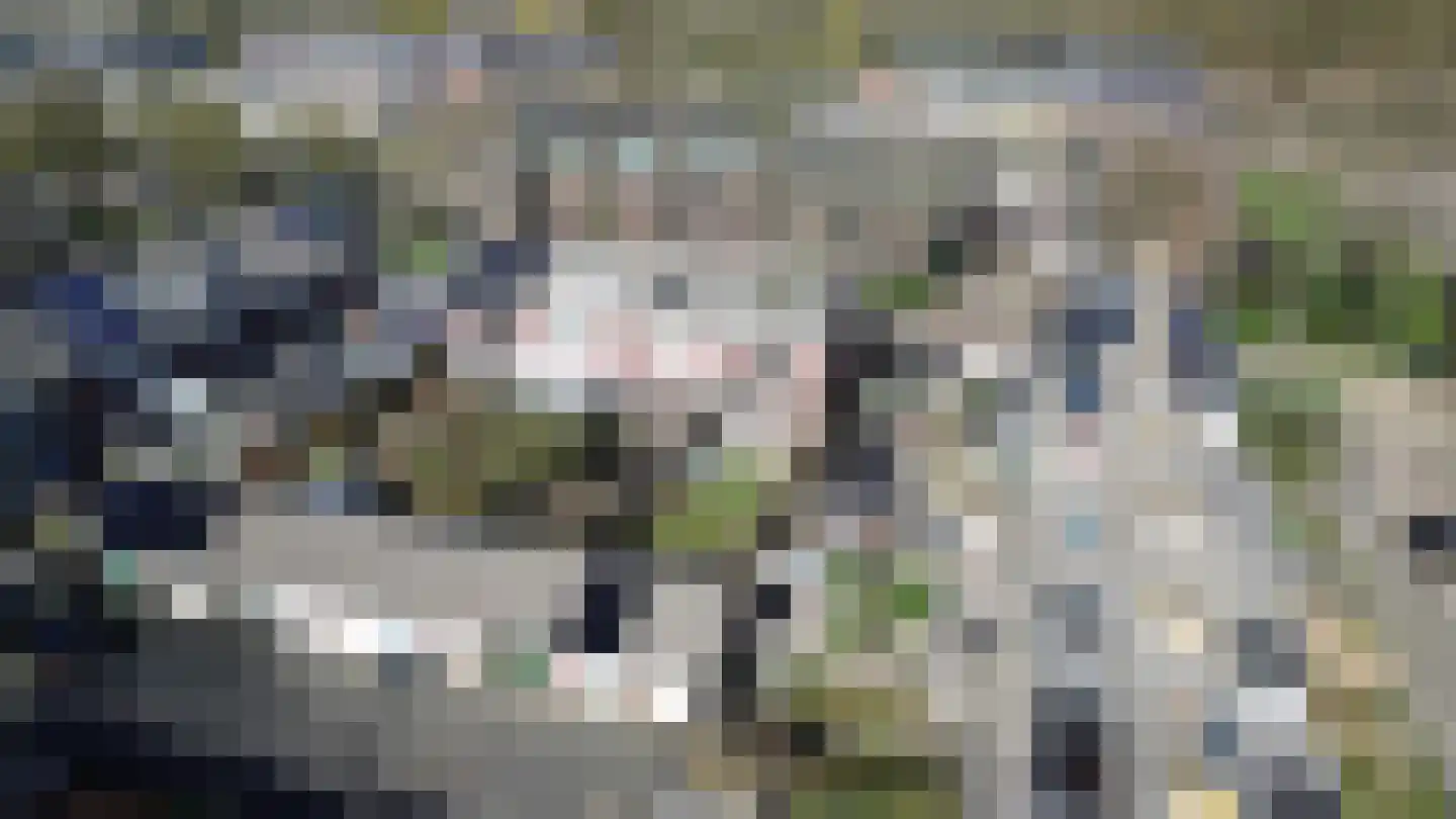 van Ostadestraat 8 Lisse thumbnail 49