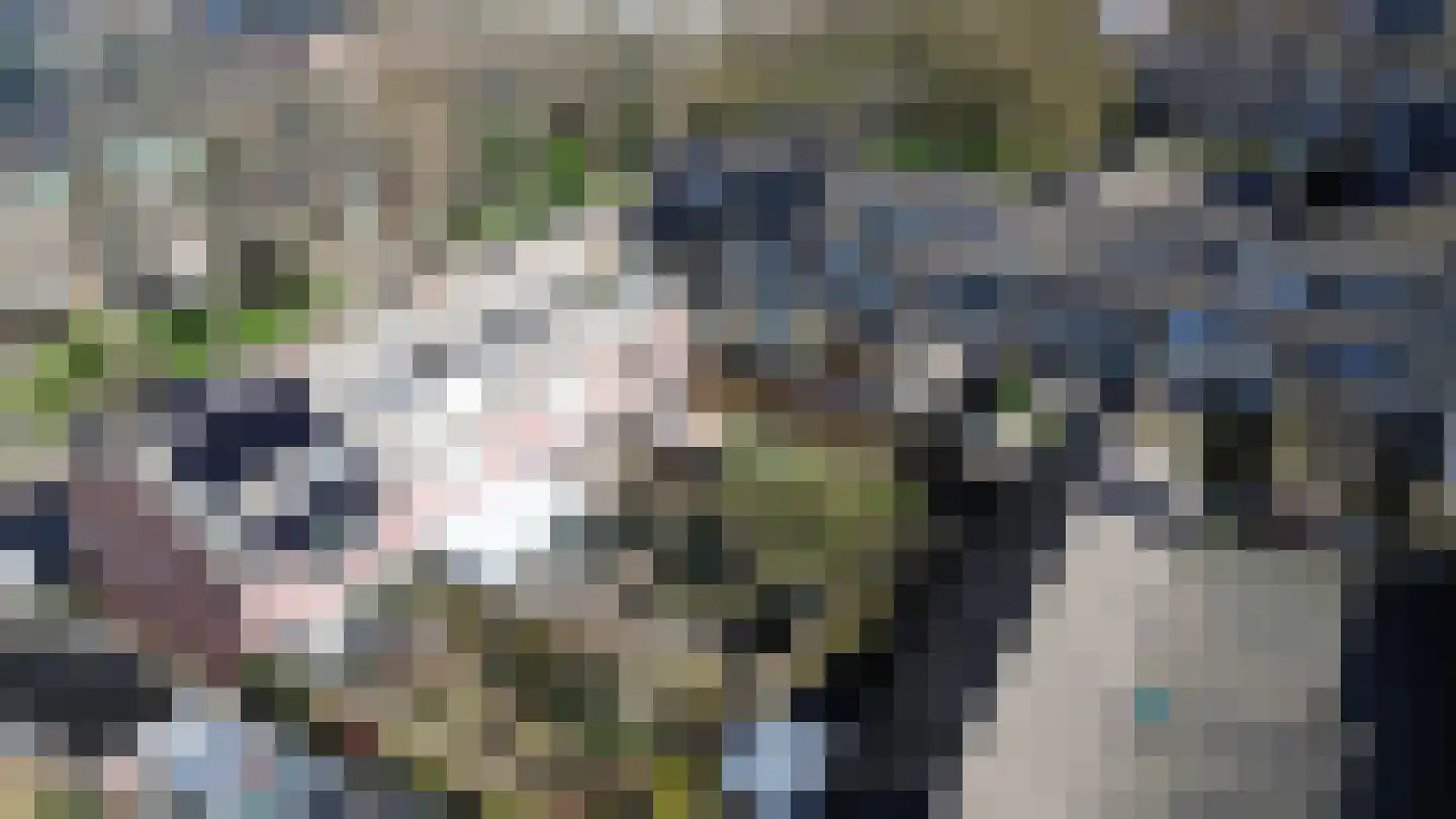 van Ostadestraat 8 Lisse thumbnail 50