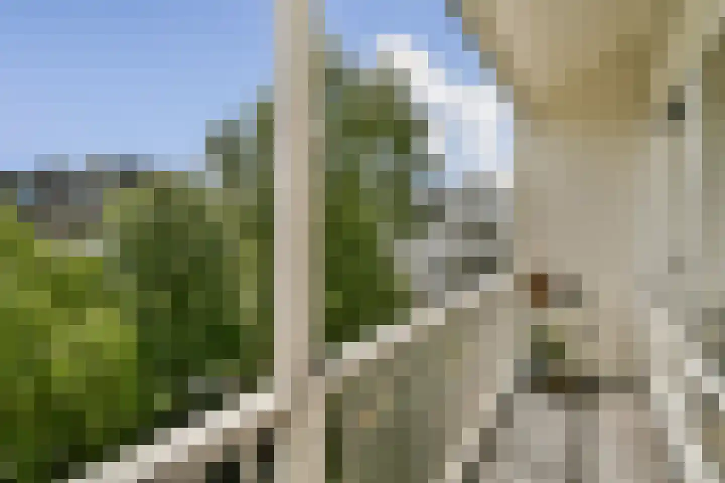 Van Ostadestraat 86 3 Amsterdam thumbnail 8