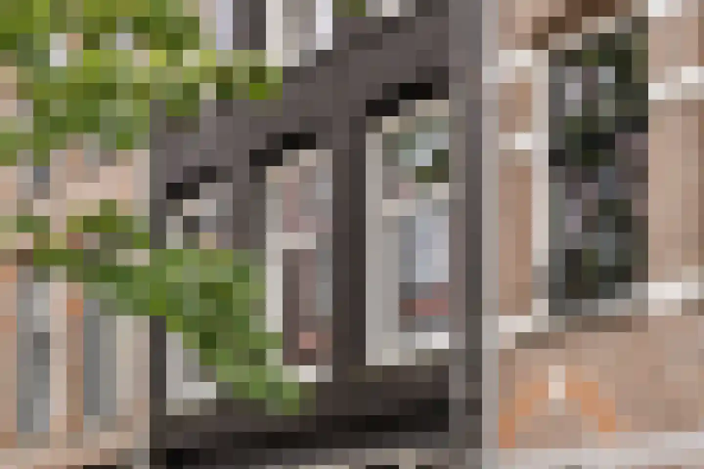 Van Ostadestraat 88 1 Amsterdam thumbnail 4