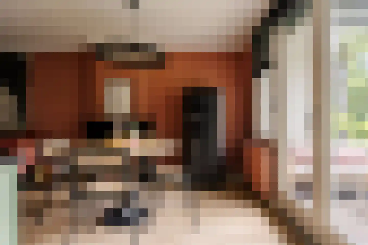 Van Ostadestraat 88 1 Amsterdam thumbnail 9