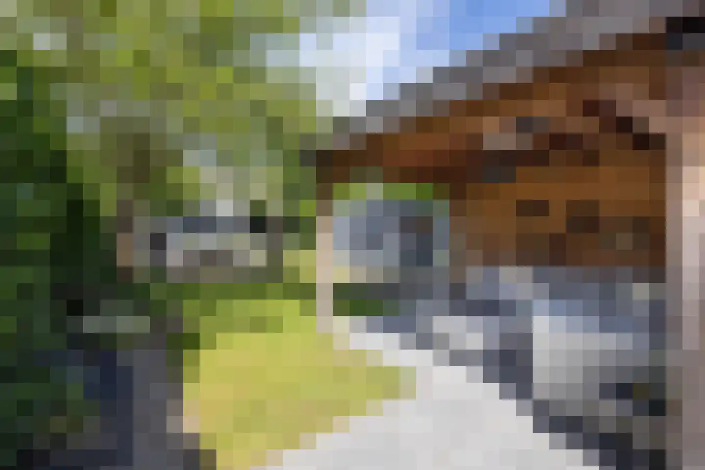 van Ostadestraat 9 Hengelo thumbnail 10