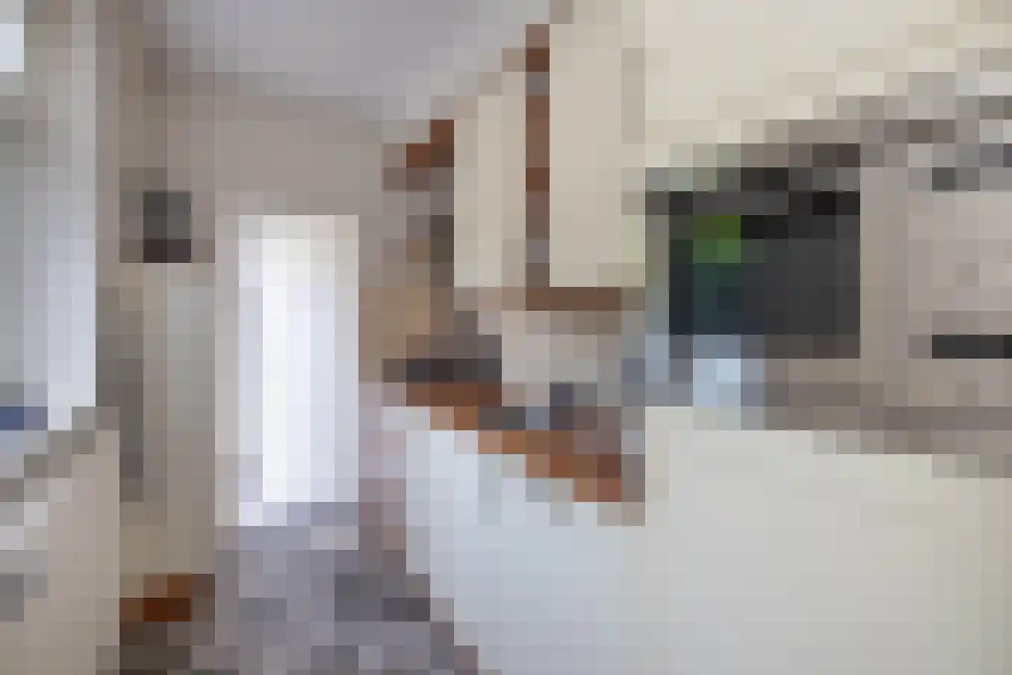 van Ostadestraat 9 Hengelo thumbnail 11