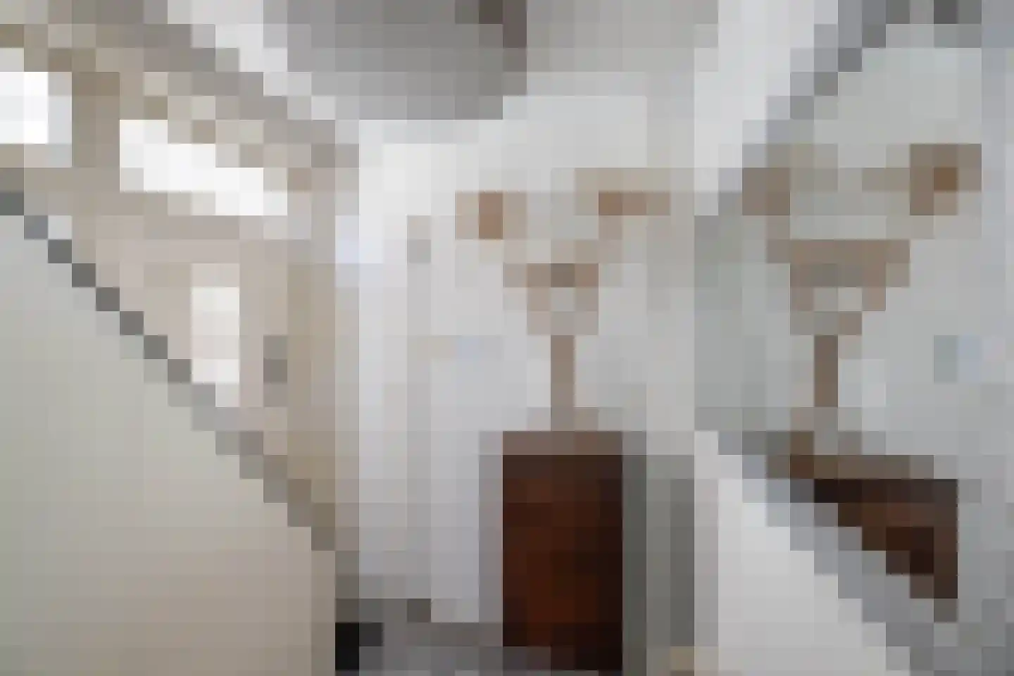 van Ostadestraat 9 Hengelo thumbnail 14