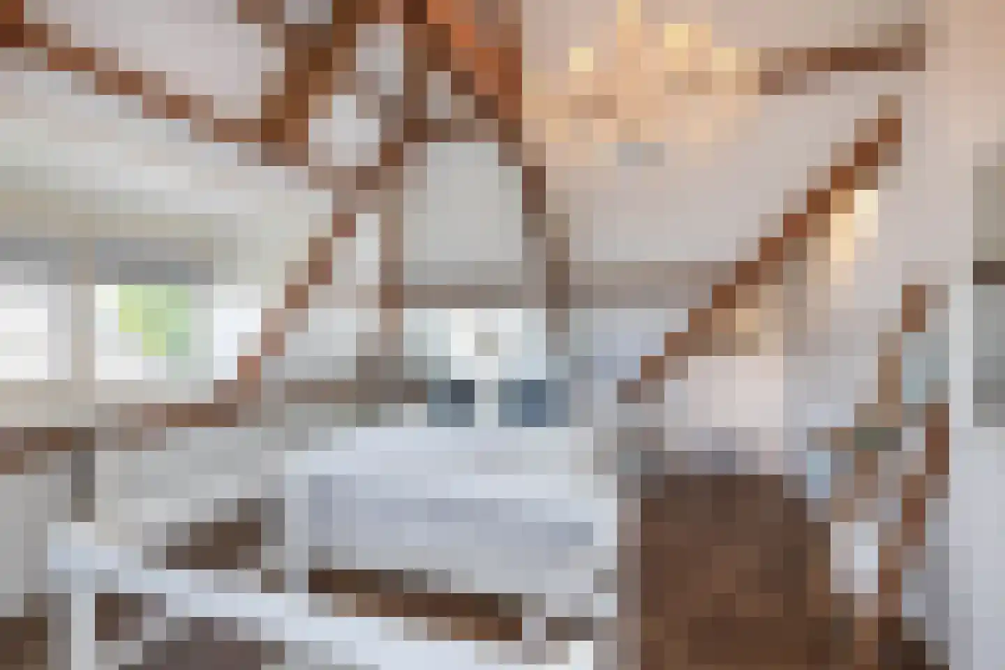 van Ostadestraat 9 Hengelo thumbnail 25