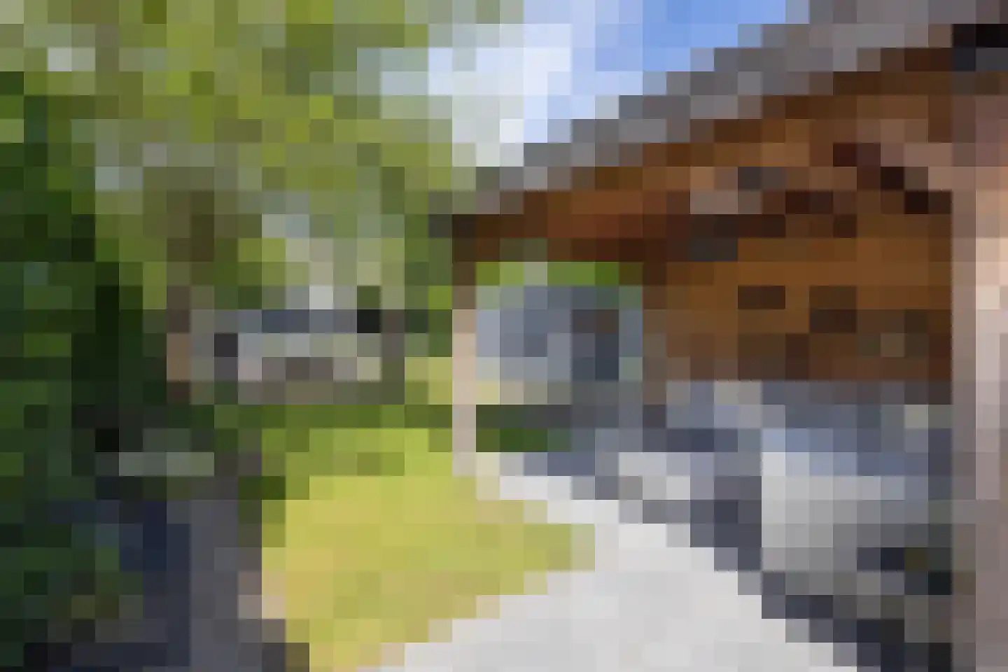 van Ostadestraat 9 Hengelo thumbnail 30