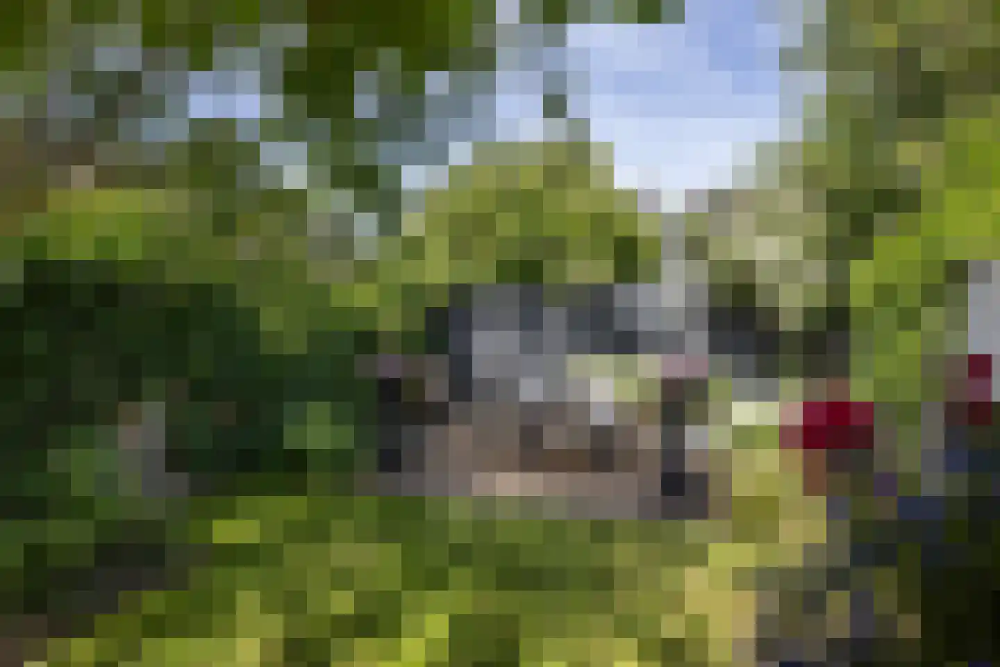 van Ostadestraat 9 Hengelo thumbnail 31