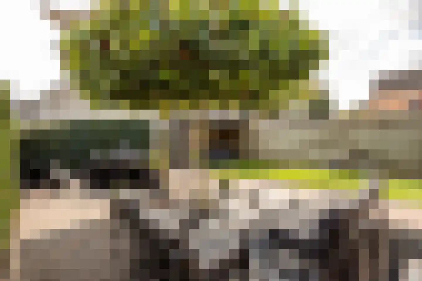 van Ostadeweg 26 Groesbeek thumbnail 47