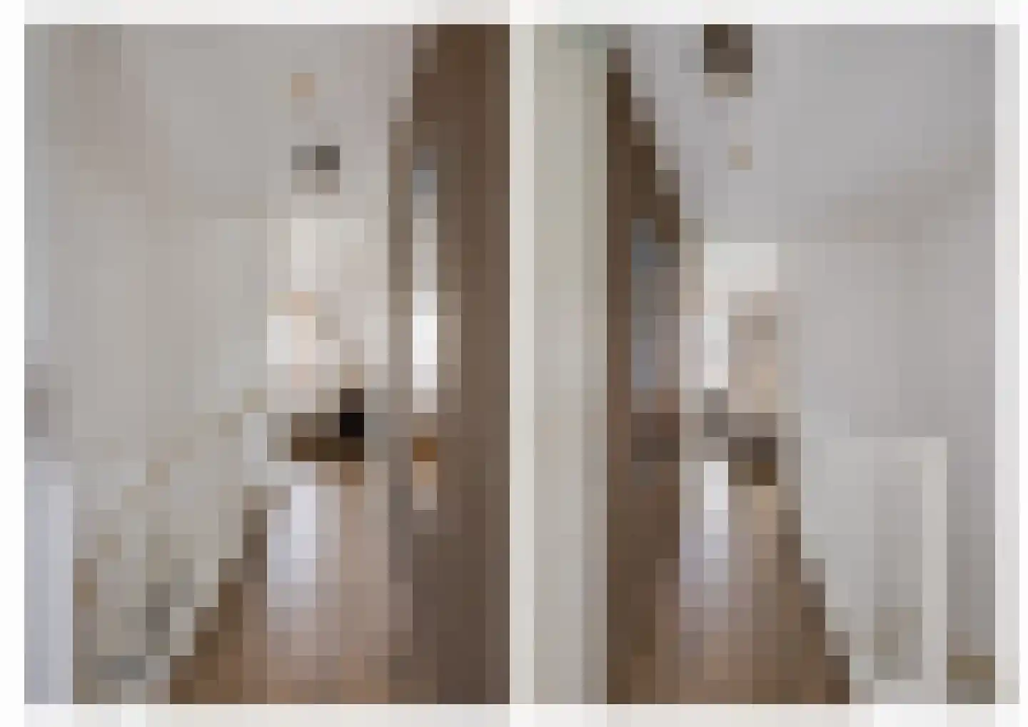 Van Otterloostraat 4 Tilburg thumbnail 38