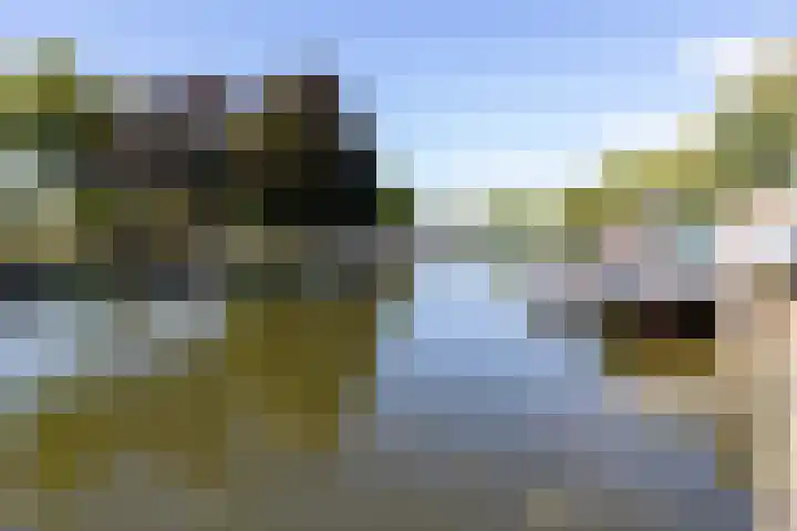 Van Oudheusdenstraat 1 C Woerden thumbnail 21