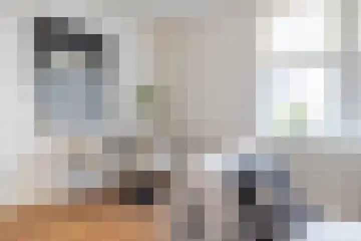 Van Oudheusdenstraat 1 C Woerden thumbnail 5