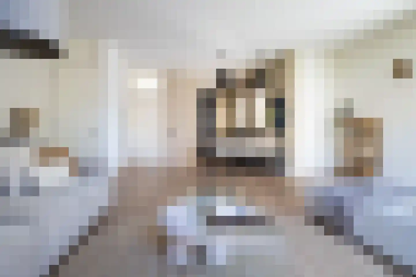 Van Oudheusdenstraat 10 Woerden thumbnail 6