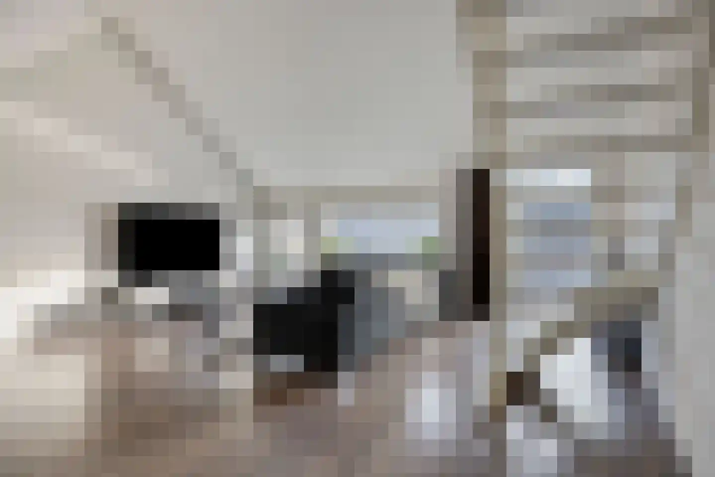 Van Oudshoornhove 14 Zoetermeer thumbnail 11