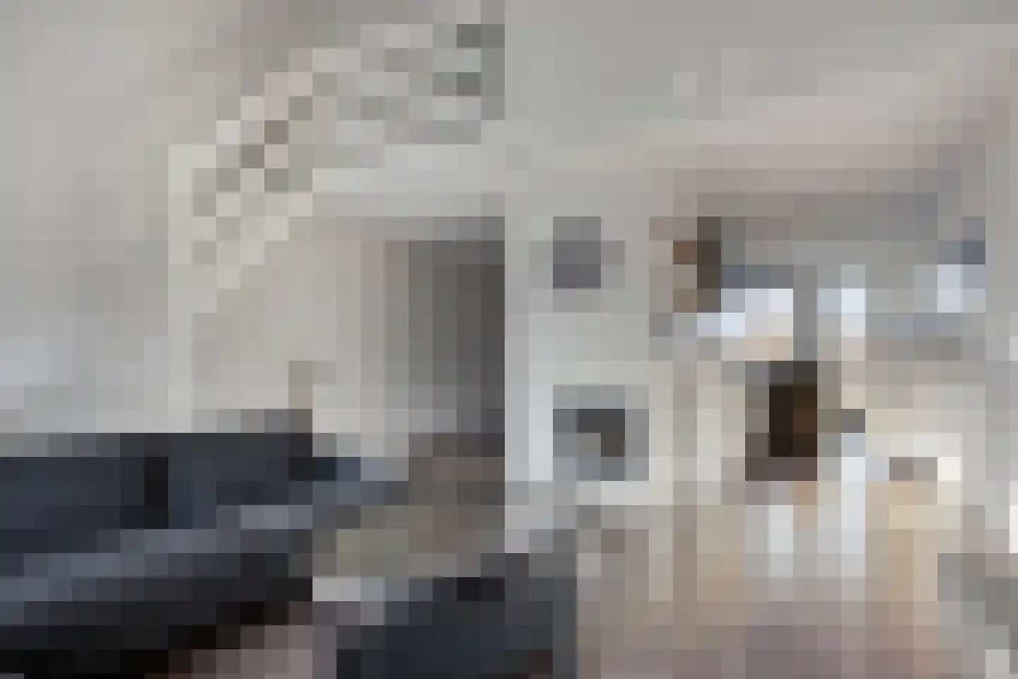 Van Oudshoornhove 14 Zoetermeer thumbnail 13