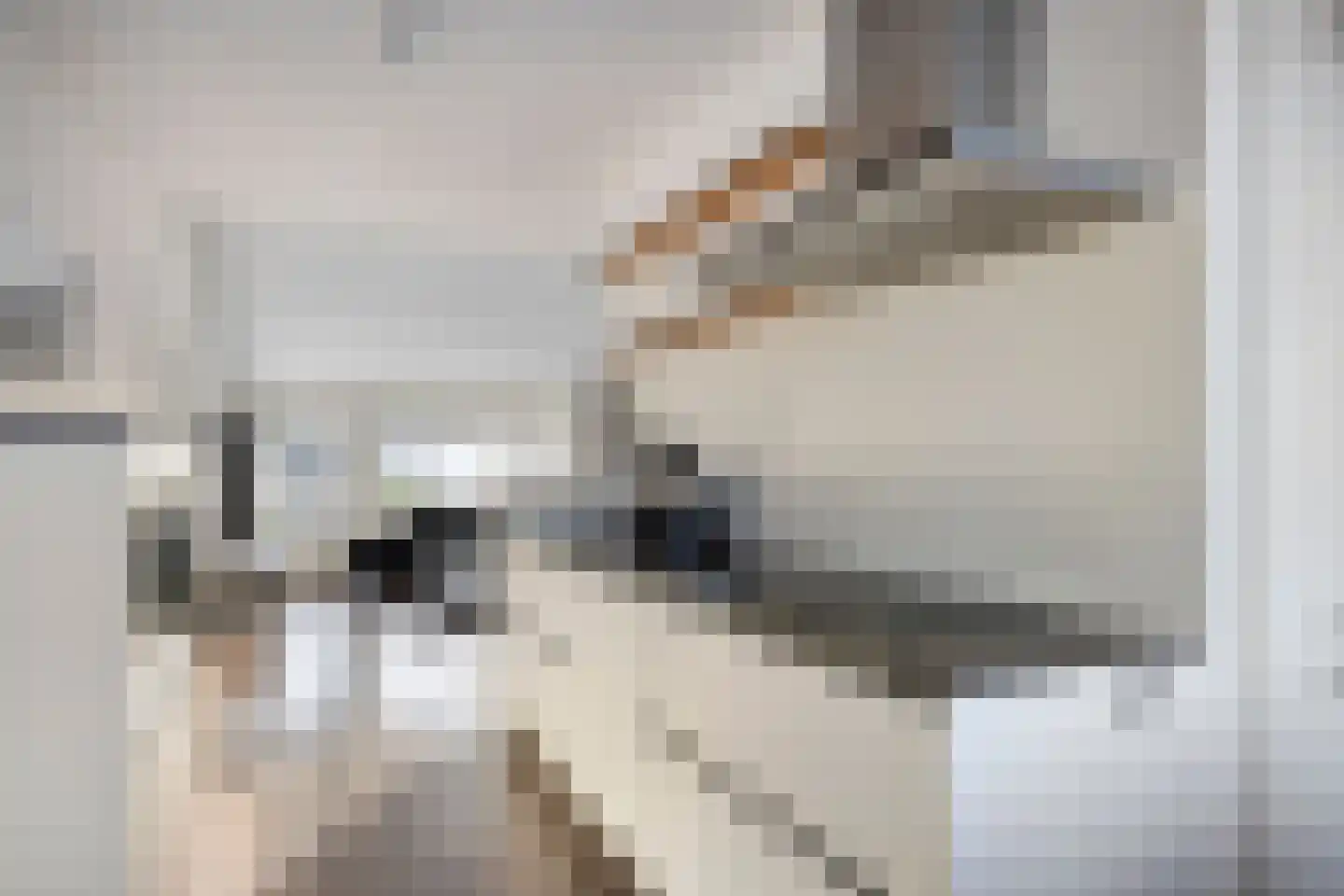 Van Oudshoornhove 14 Zoetermeer thumbnail 14