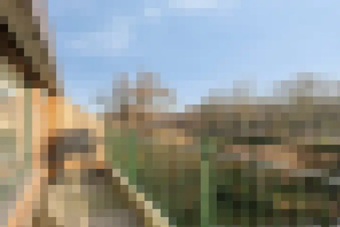 Van Oudshoornhove 14 Zoetermeer thumbnail 30