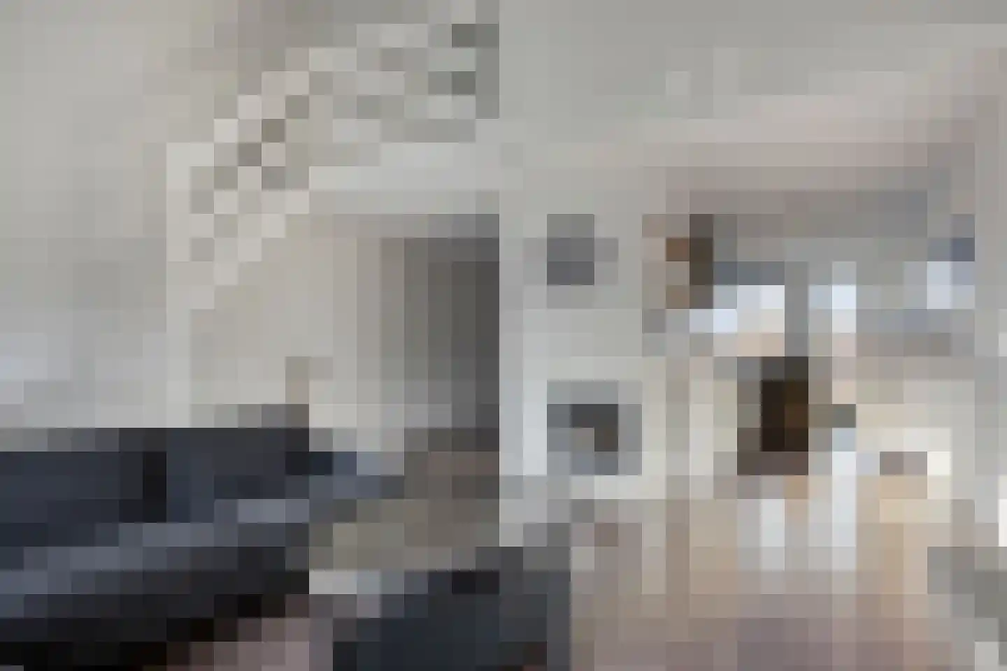 Van Oudshoornhove 14 Zoetermeer thumbnail 5