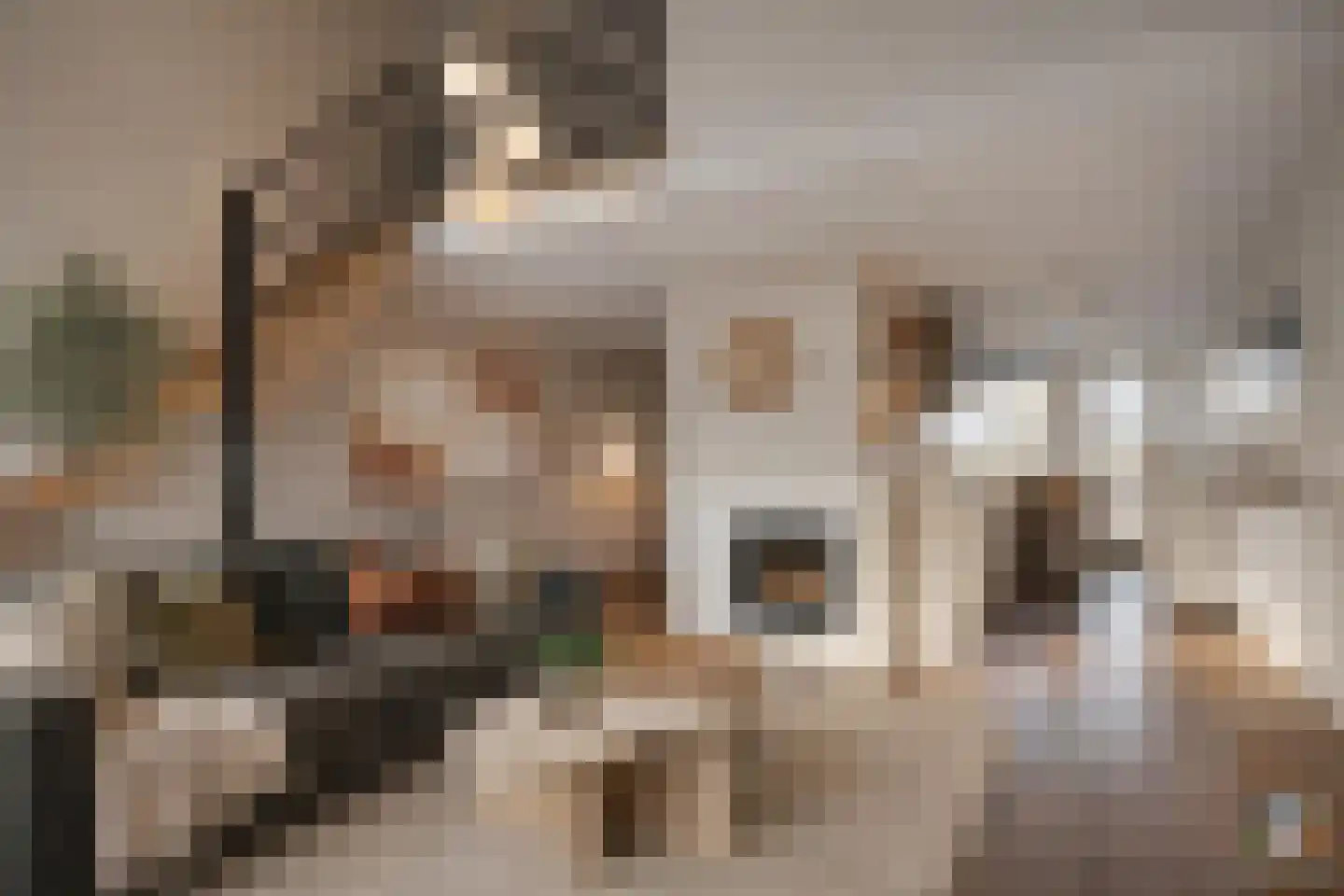 Van Oudshoornhove 14 Zoetermeer thumbnail 6