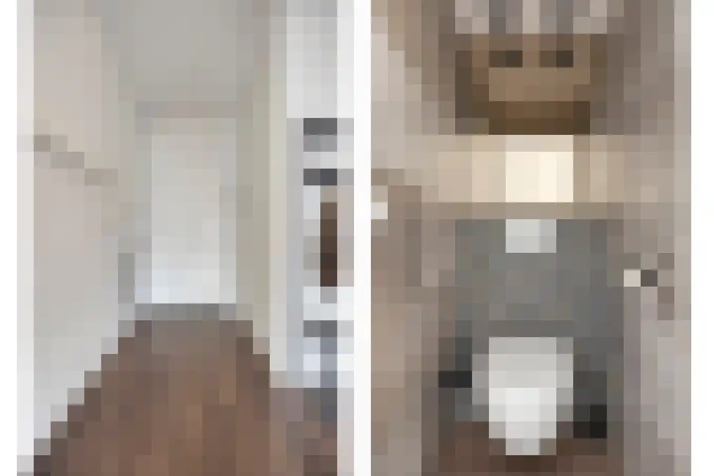 Van Oudshoornhove 14 Zoetermeer thumbnail 9