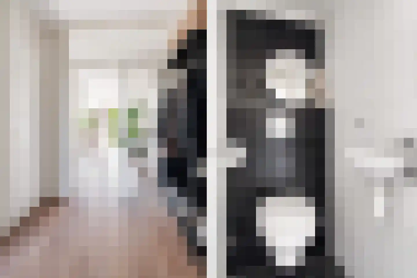 Van Oudshoornhove 6 Zoetermeer thumbnail 10