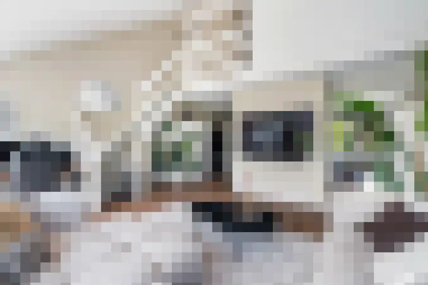 Van Oudshoornhove 6 Zoetermeer thumbnail 15