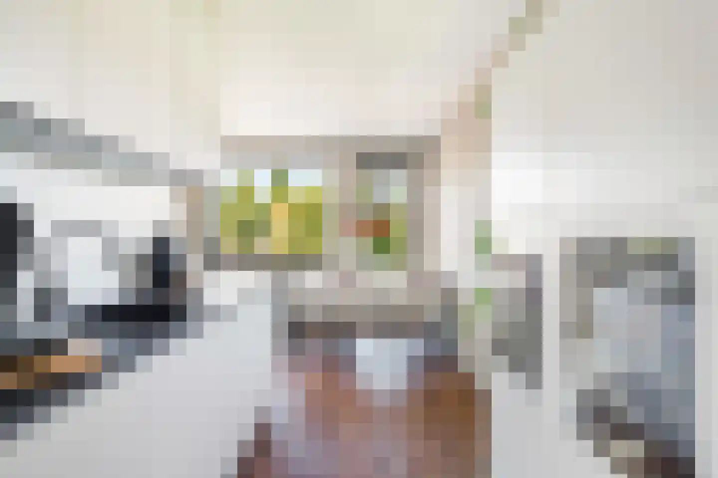 Van Oudshoornhove 6 Zoetermeer thumbnail 16