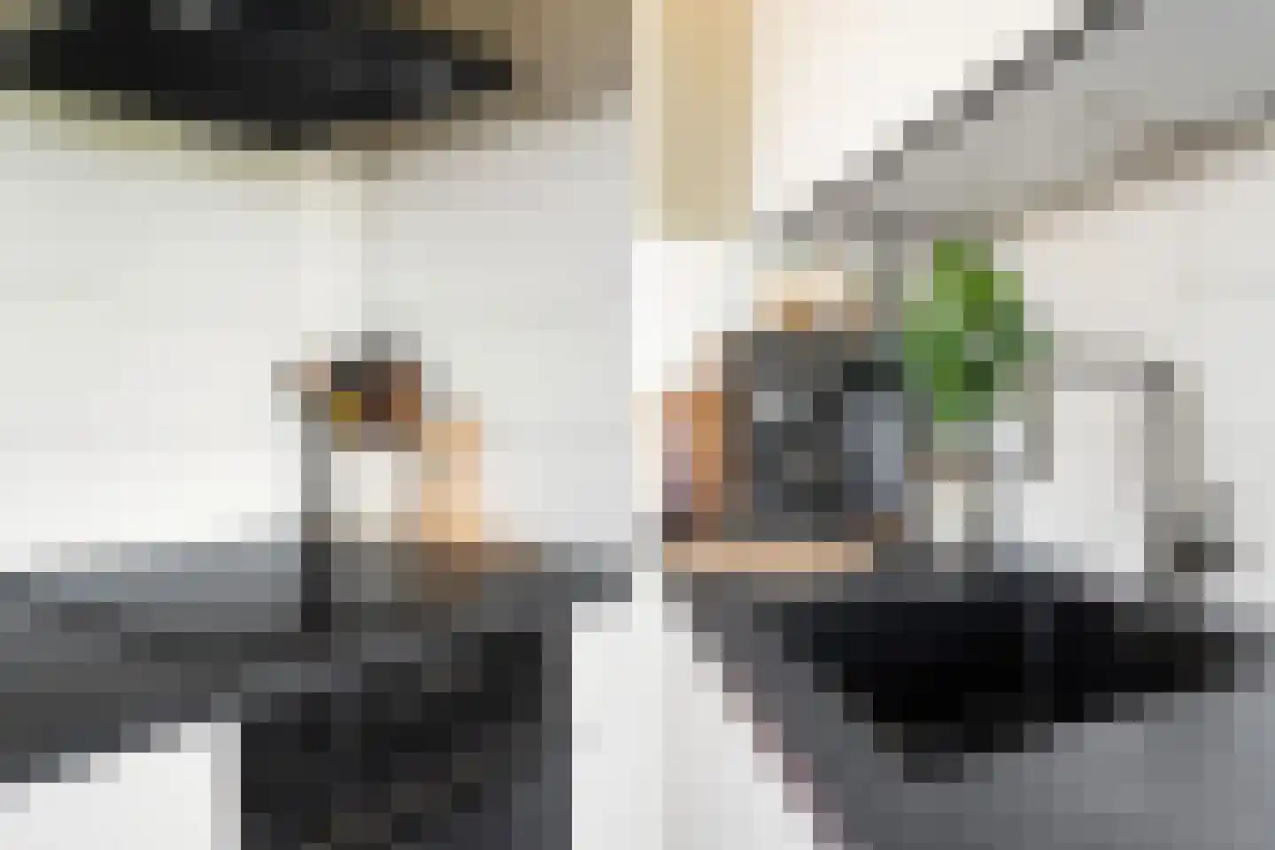 Van Oudshoornhove 6 Zoetermeer thumbnail 17