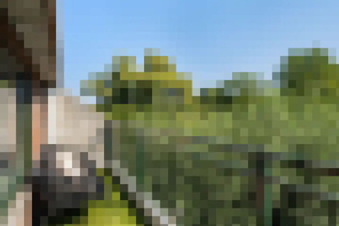 Van Oudshoornhove 6 Zoetermeer thumbnail 21