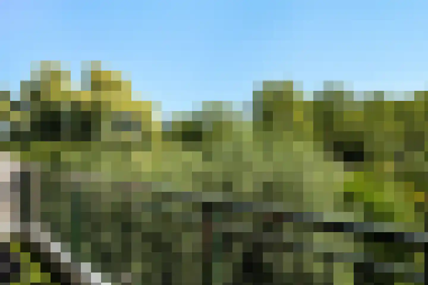 Van Oudshoornhove 6 Zoetermeer thumbnail 22