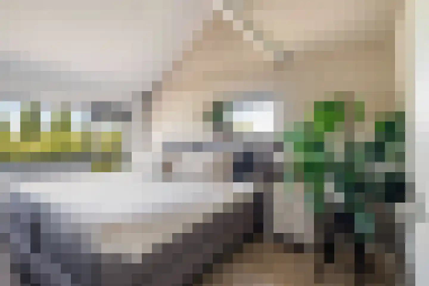 Van Oudshoornhove 6 Zoetermeer thumbnail 25