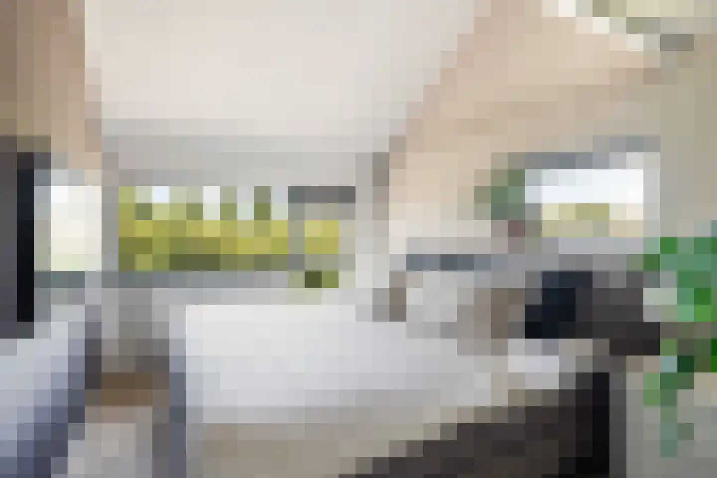 Van Oudshoornhove 6 Zoetermeer thumbnail 26