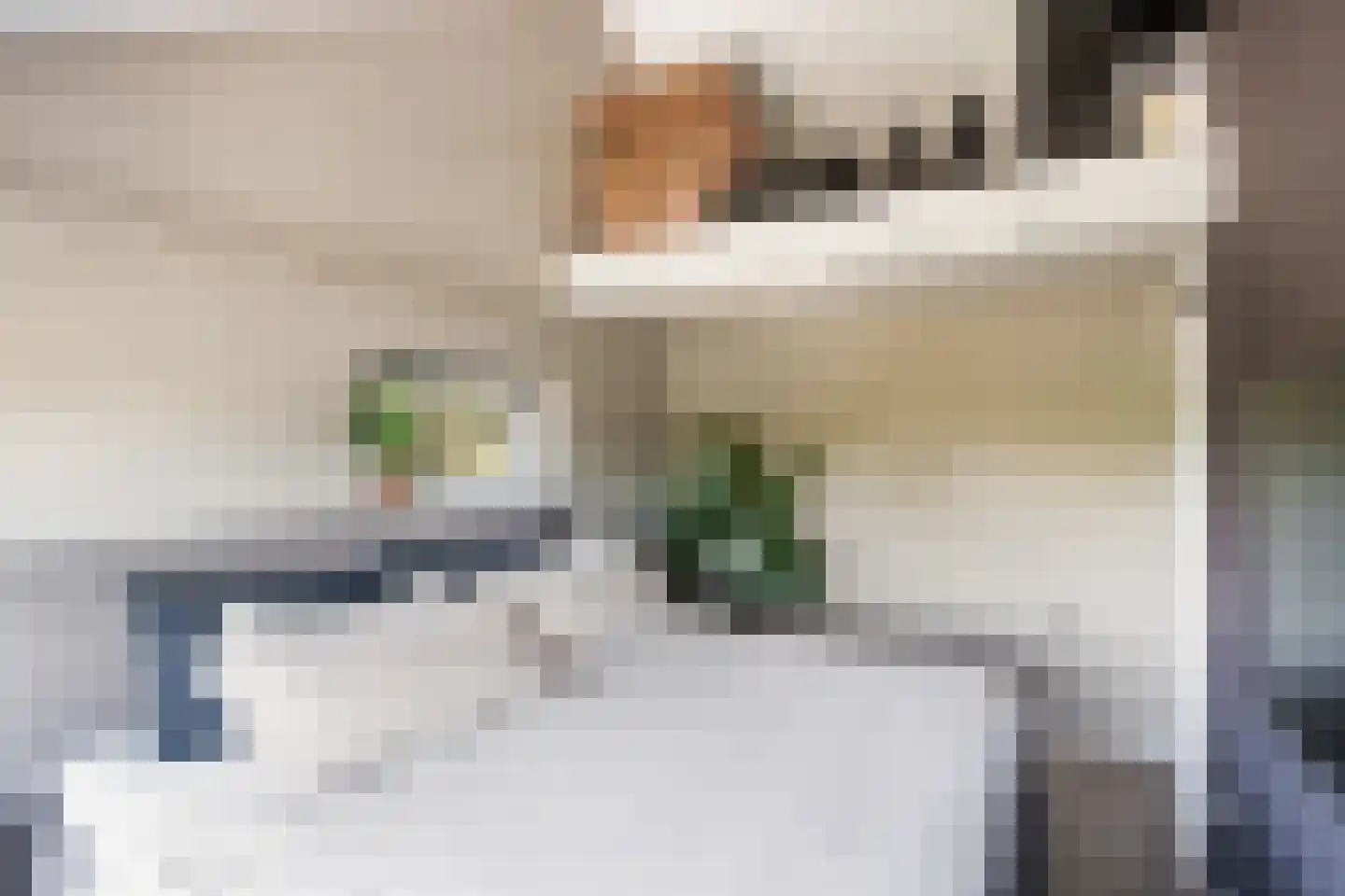 Van Oudshoornhove 6 Zoetermeer thumbnail 27