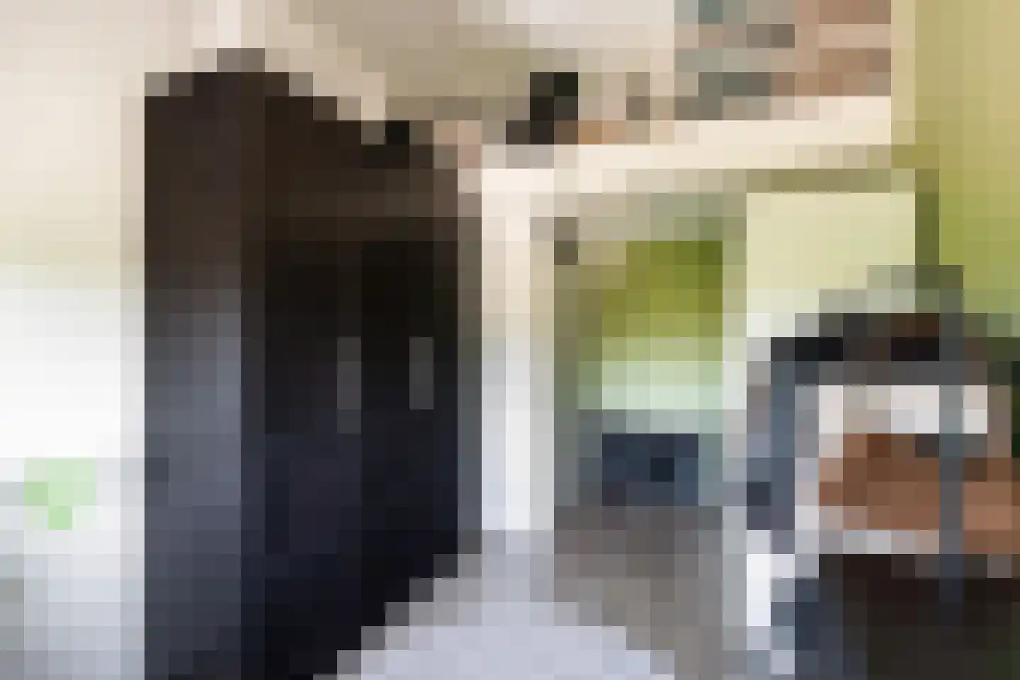 Van Oudshoornhove 6 Zoetermeer thumbnail 29