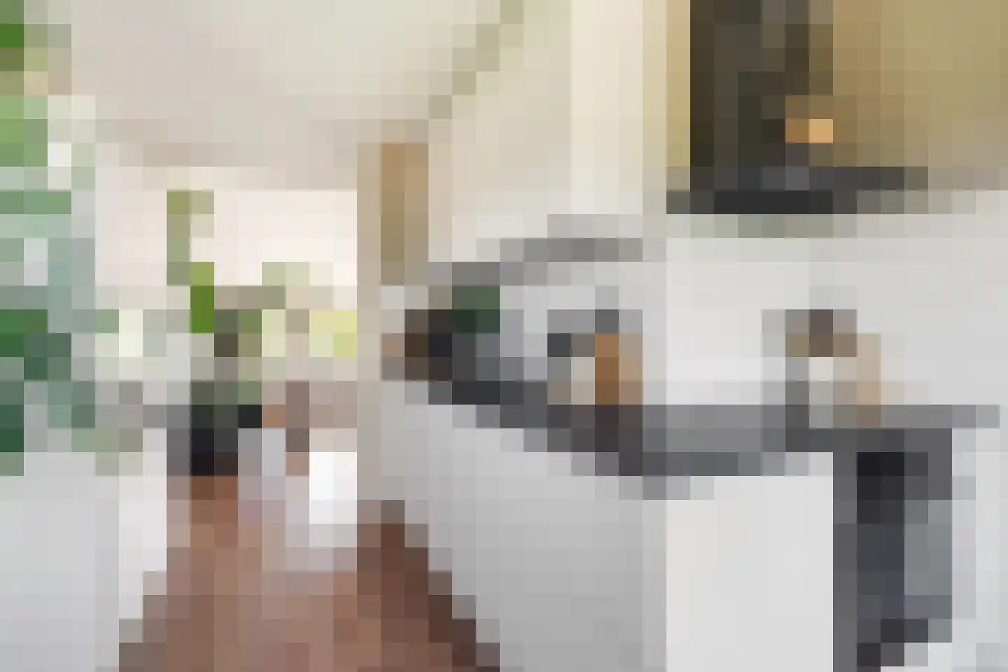 Van Oudshoornhove 6 Zoetermeer thumbnail 4