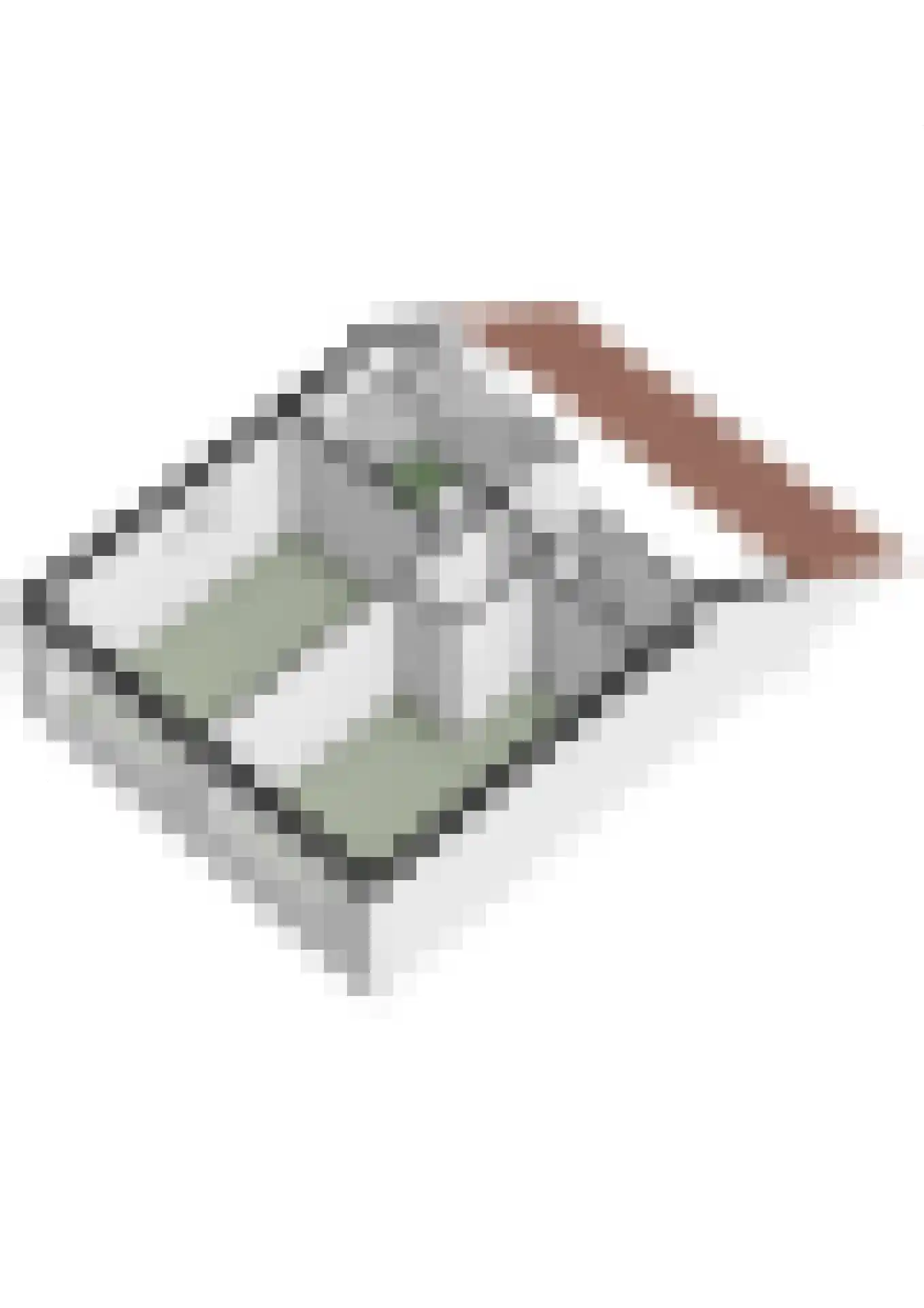 Van Oudshoornhove 6 Zoetermeer thumbnail 40