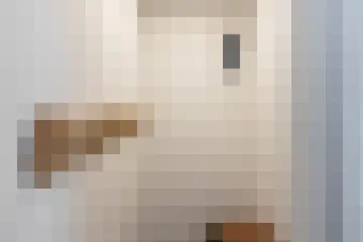 van Ouwenallerlaan 13 Rekken thumbnail 11