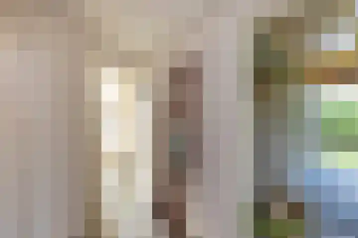 van Ouwenallerlaan 13 Rekken thumbnail 15